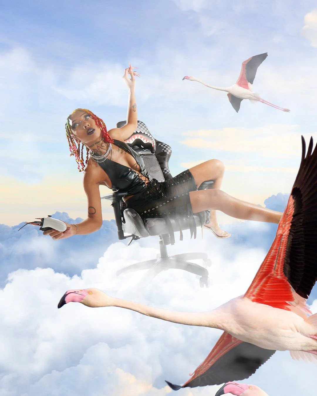 Thumbnail 6